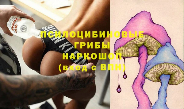 гидропоника Елизово