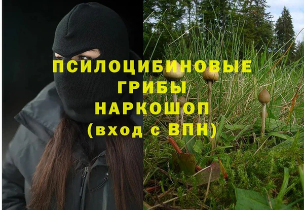 ешки Елабуга