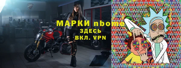 ALPHA PVP Ельня