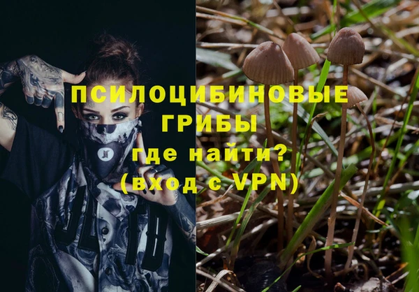 гидропоника Елизово