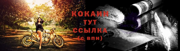 ALPHA PVP Ельня