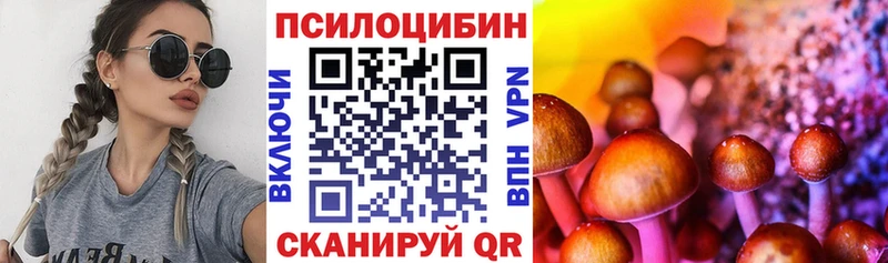 Галлюциногенные грибы Magic Shrooms  Сусуман 